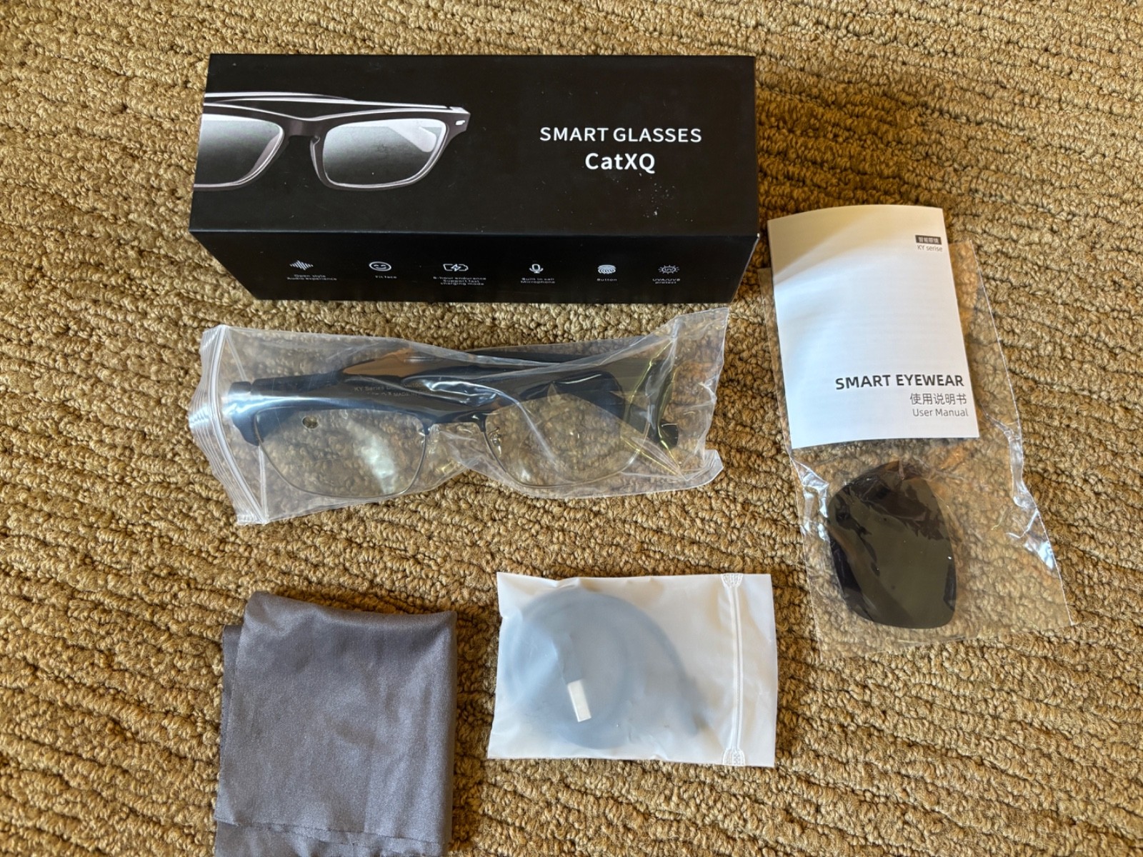CatXQ Smart Glasses – Untested