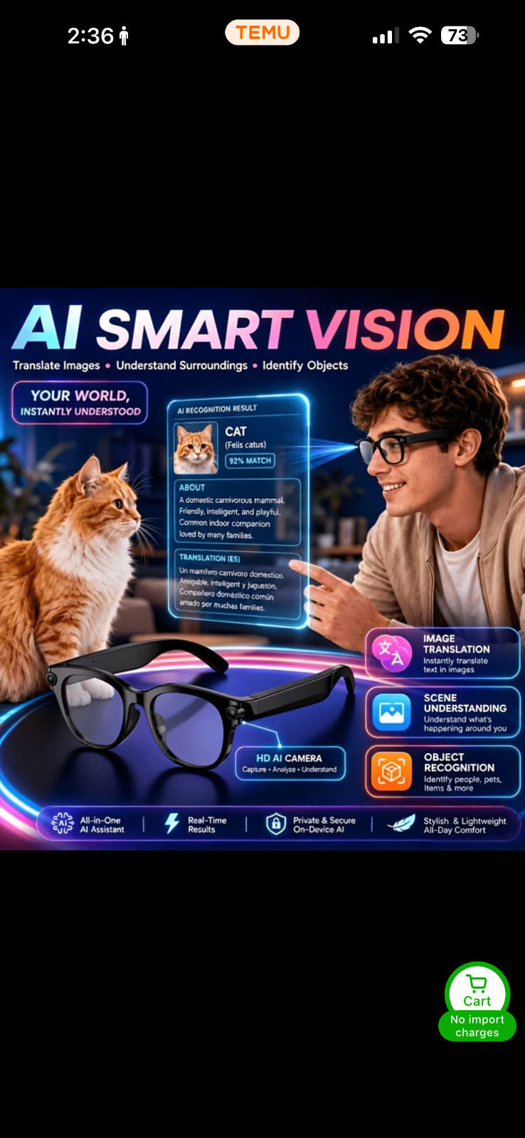smart glasses