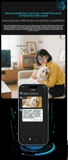 800W Video Recording Eyewear/Sunglasses Chat GPT AI Smart Glasses Bluetooth Earp