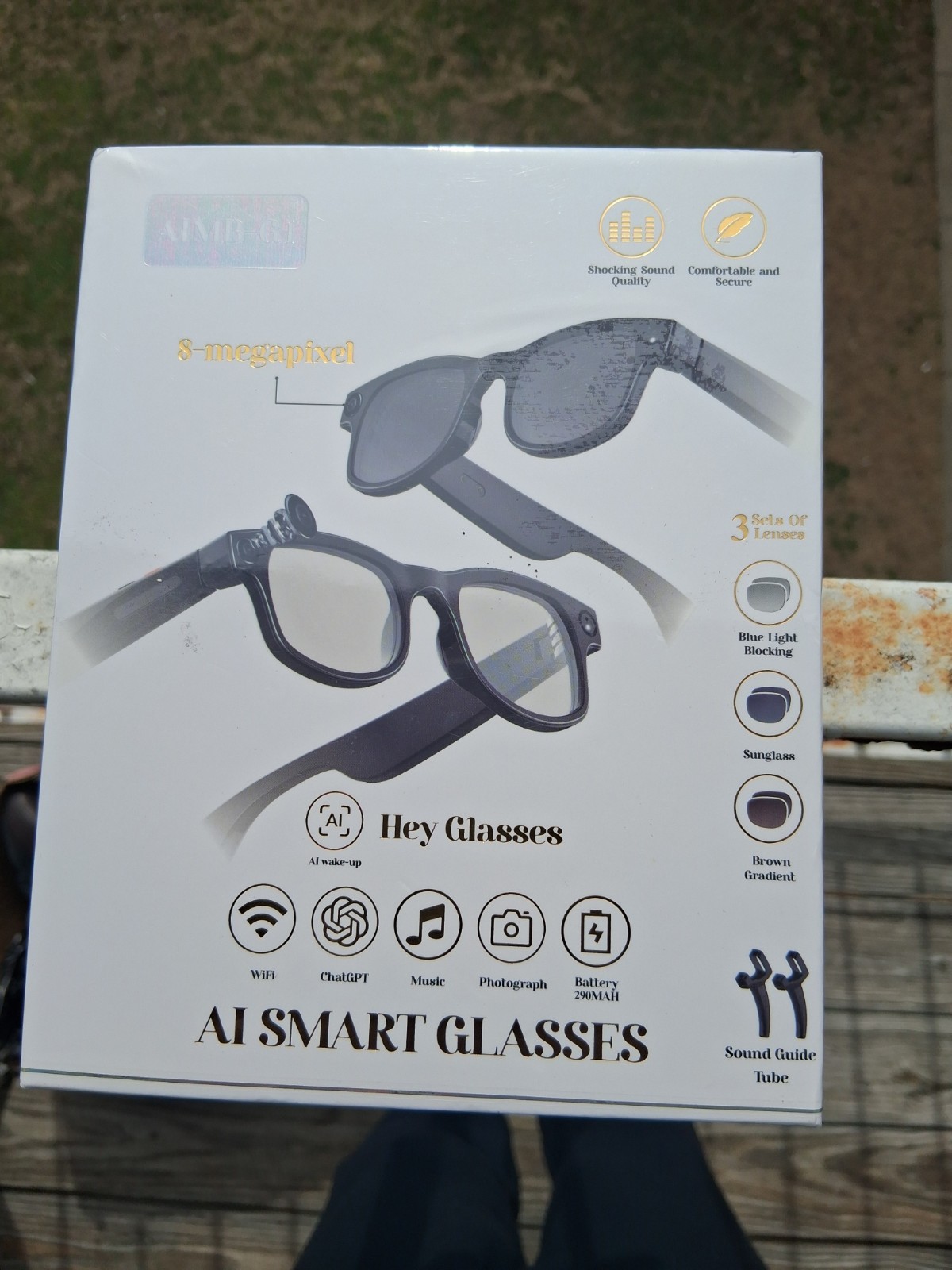 AI Smart Glasses