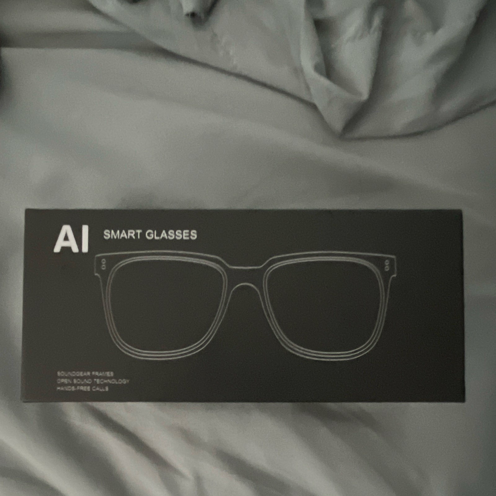AI Smart Glasses